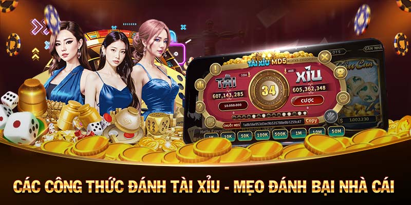 Casino Online Uy Tin Tai Xiu Online - Taixiu Trusted